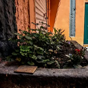 Little House Nápoles